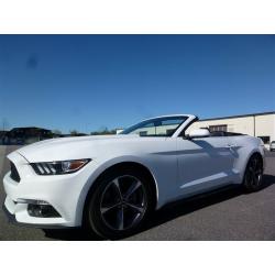 Ford Mustang V6 Cab -15