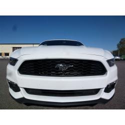 Ford Mustang V6 Cab -15